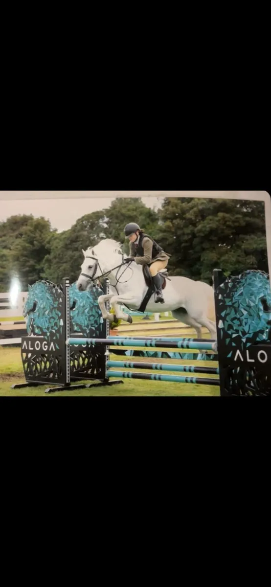 Pony - Image 1