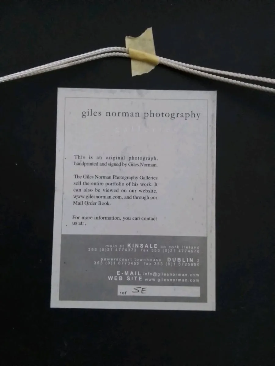 Giles Norman pnoto - Image 3