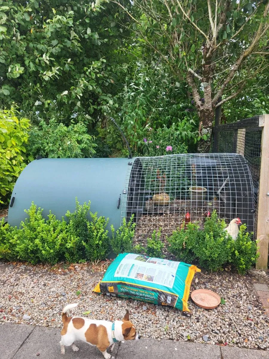 Chicken  coop - Image 1