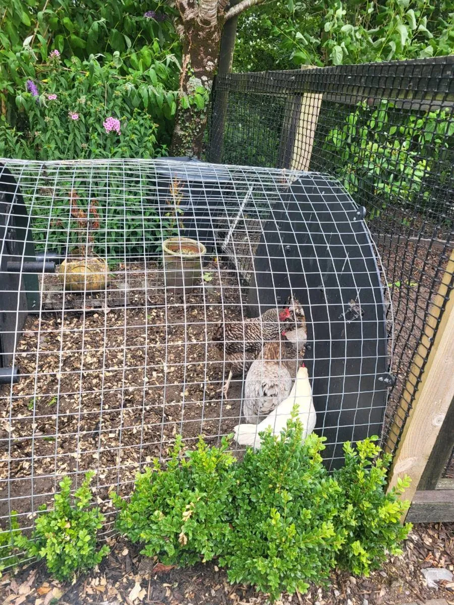 Chicken  coop - Image 2