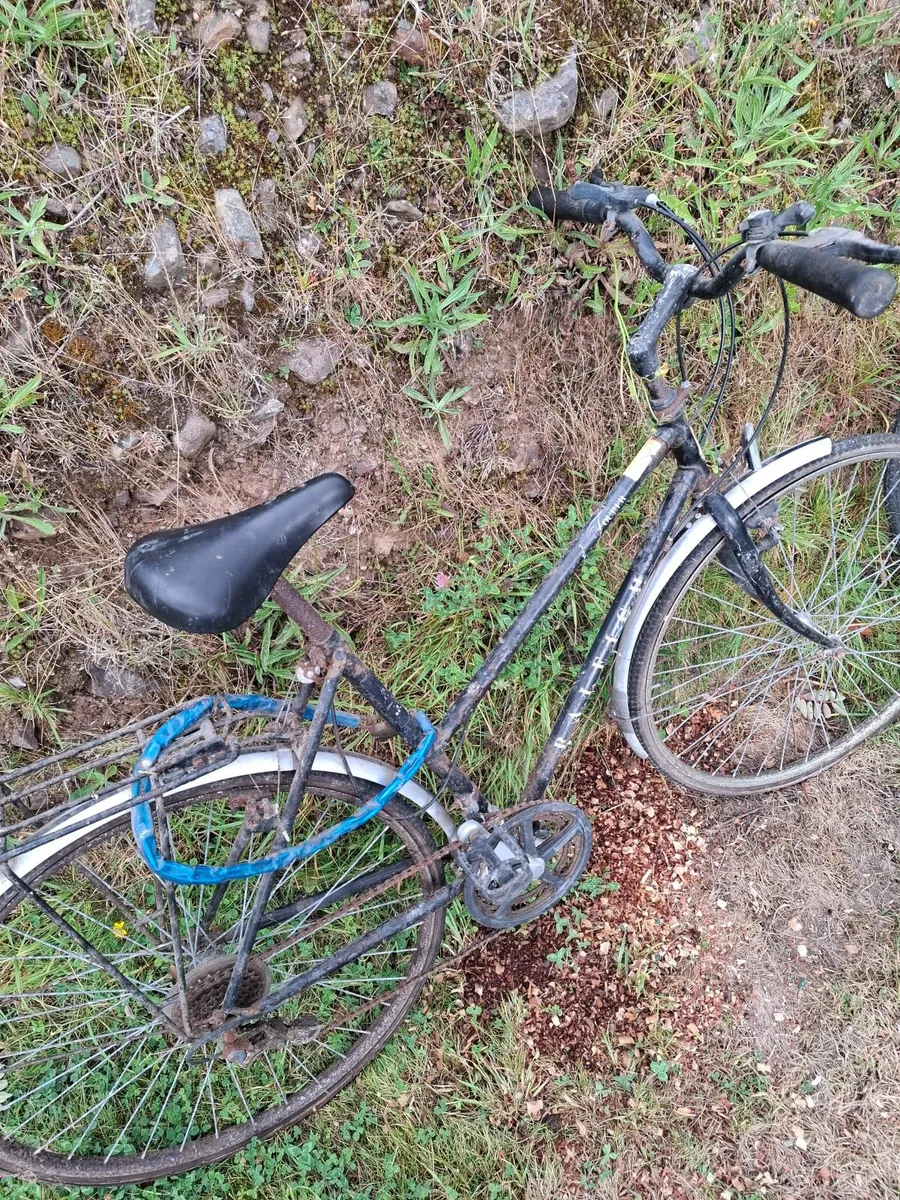 Bicycles - Image 4
