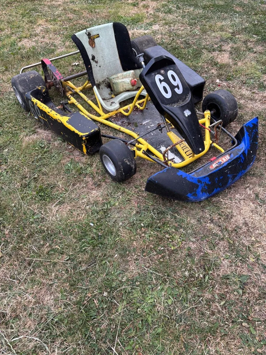 Go cart - Image 3