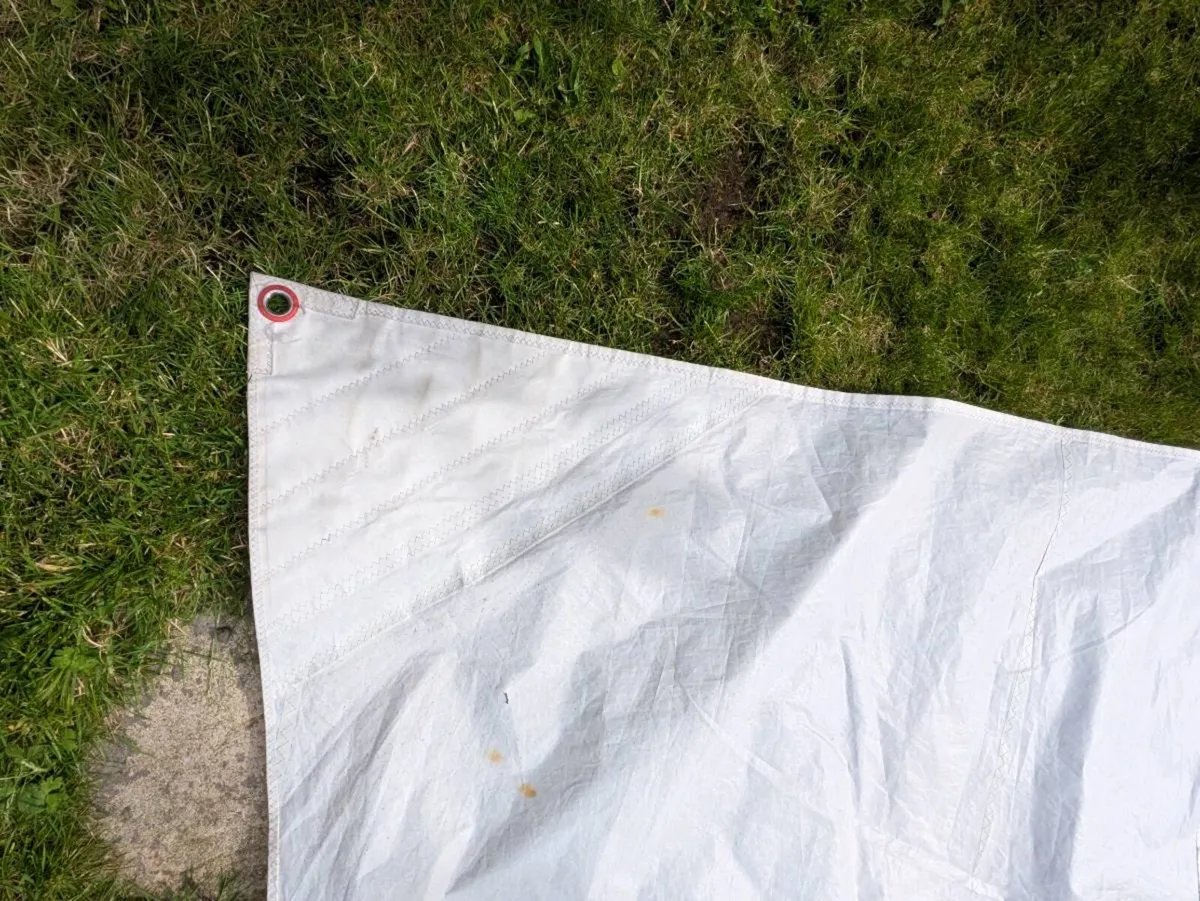 ILCA 7 Sail - Image 3