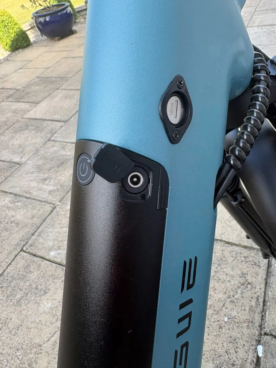 Electric bike - Image 1