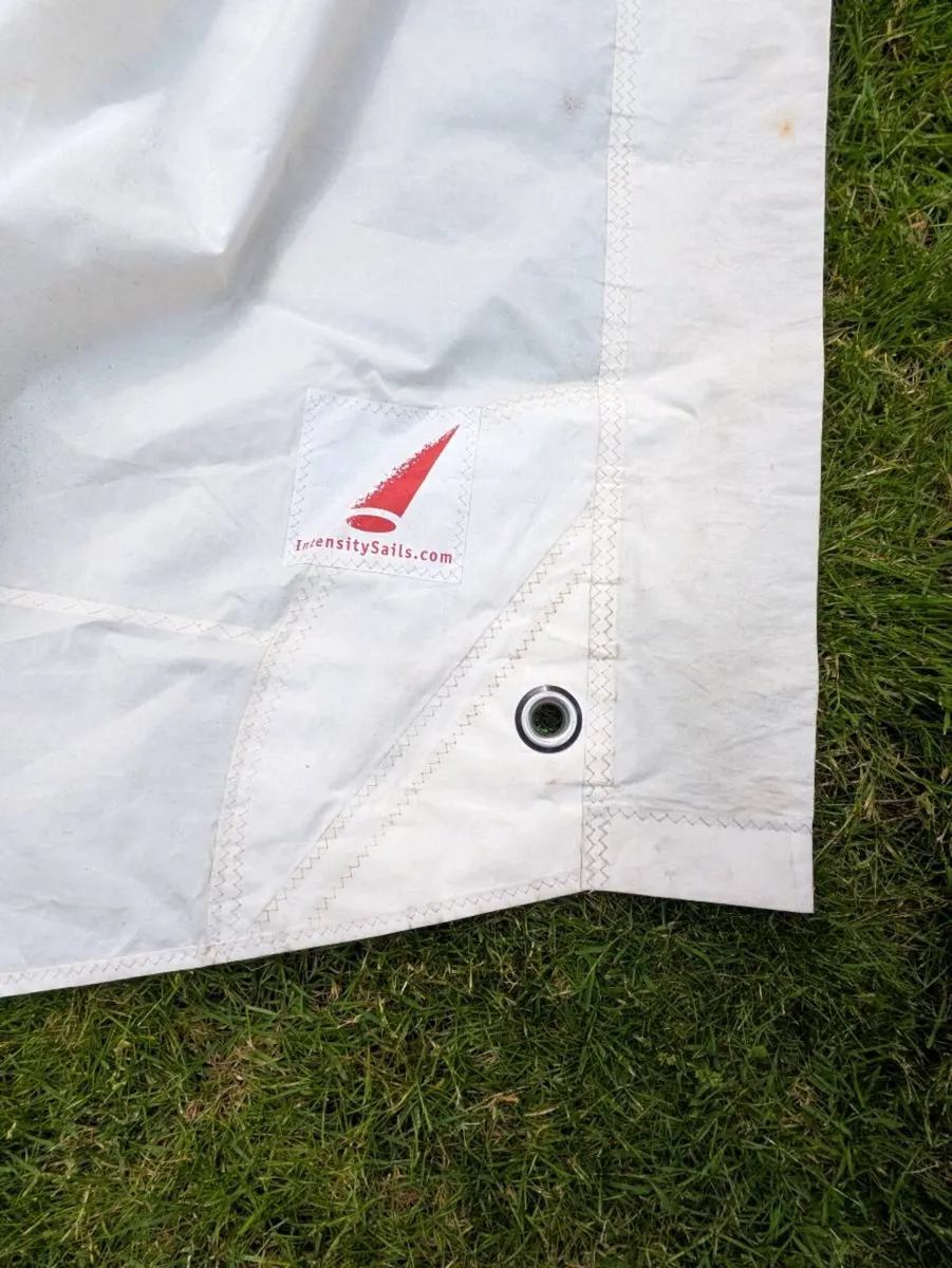 ILCA 6 Sail - Image 2