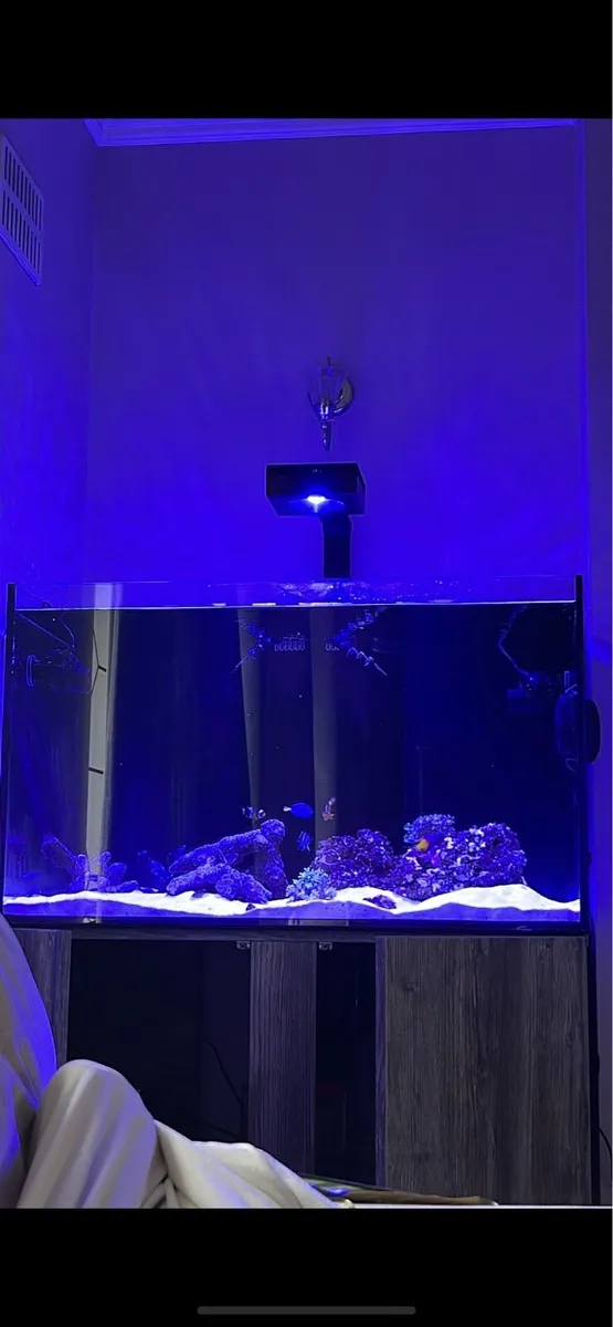 AquaOne Reefsys 255 - Image 3