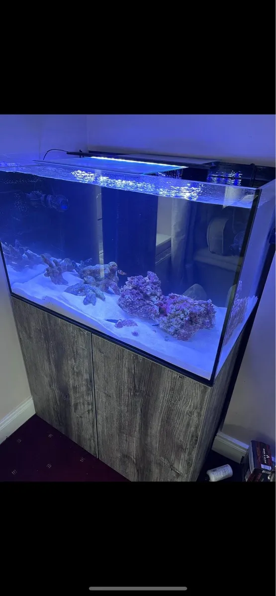 AquaOne Reefsys 255 - Image 2
