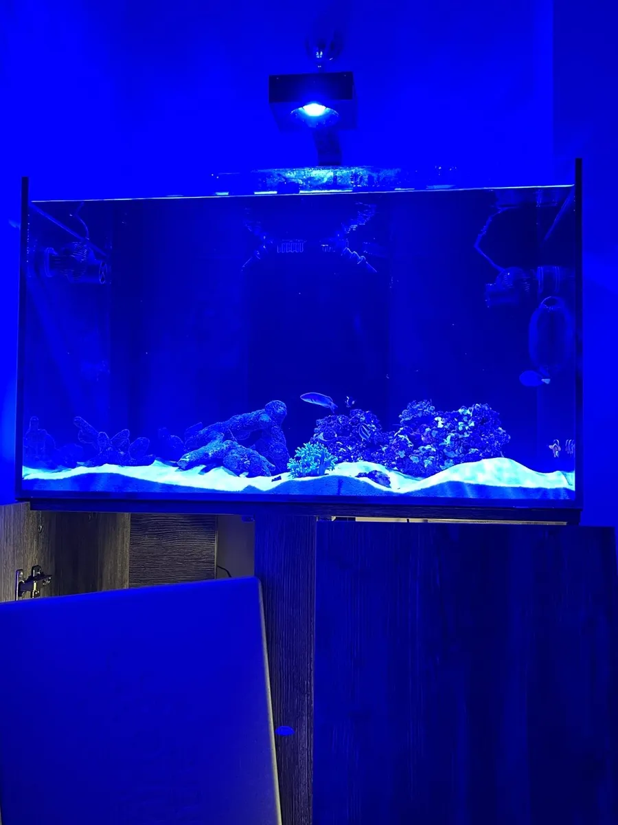 AquaOne Reefsys 255 - Image 4