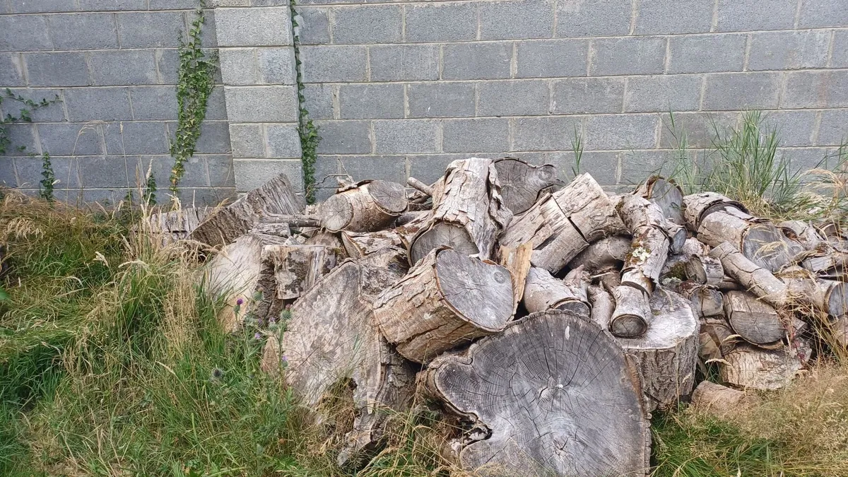 Wood - various sizes - Image 1
