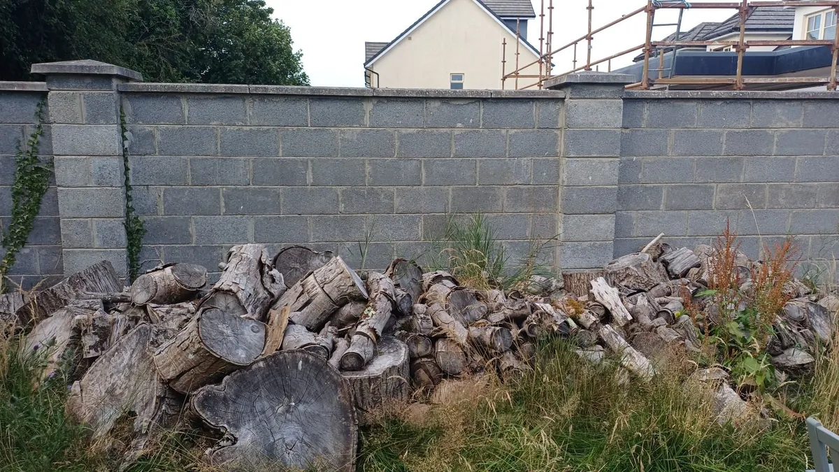 Wood - various sizes - Image 2
