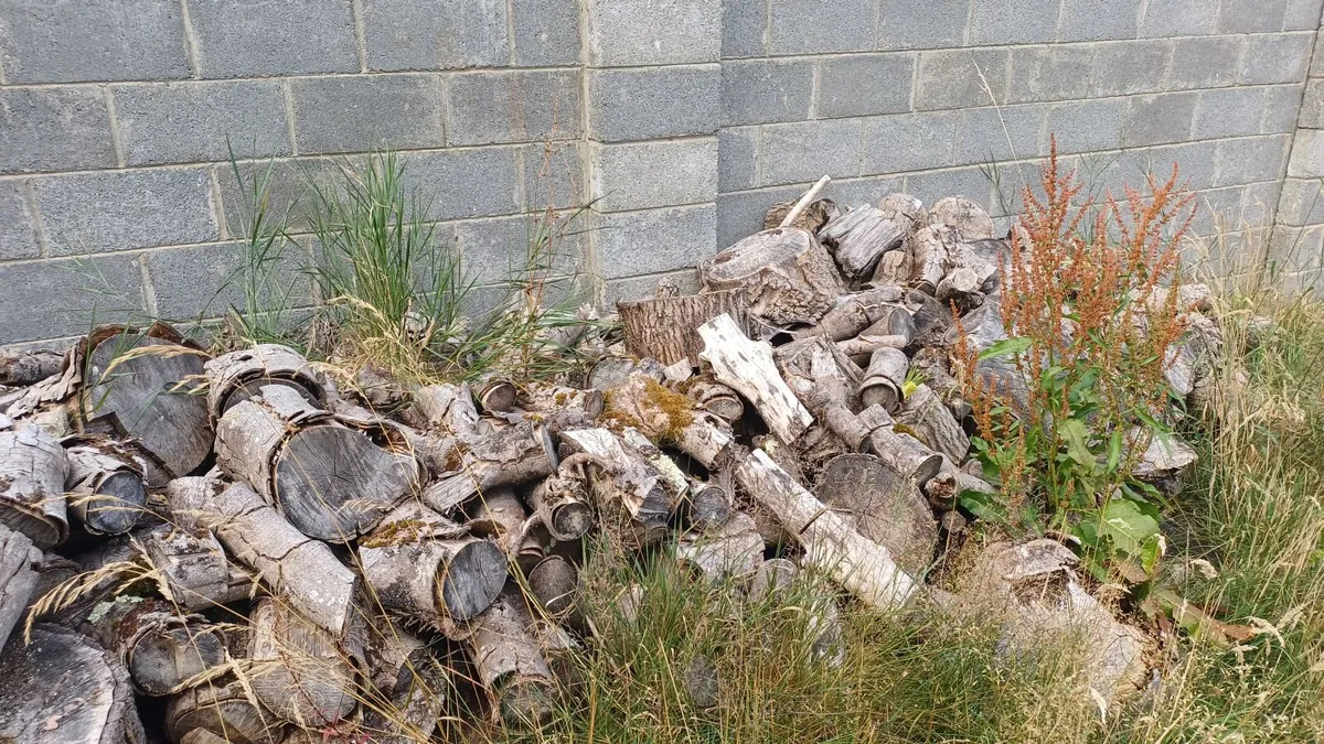 Wood - various sizes - Image 3