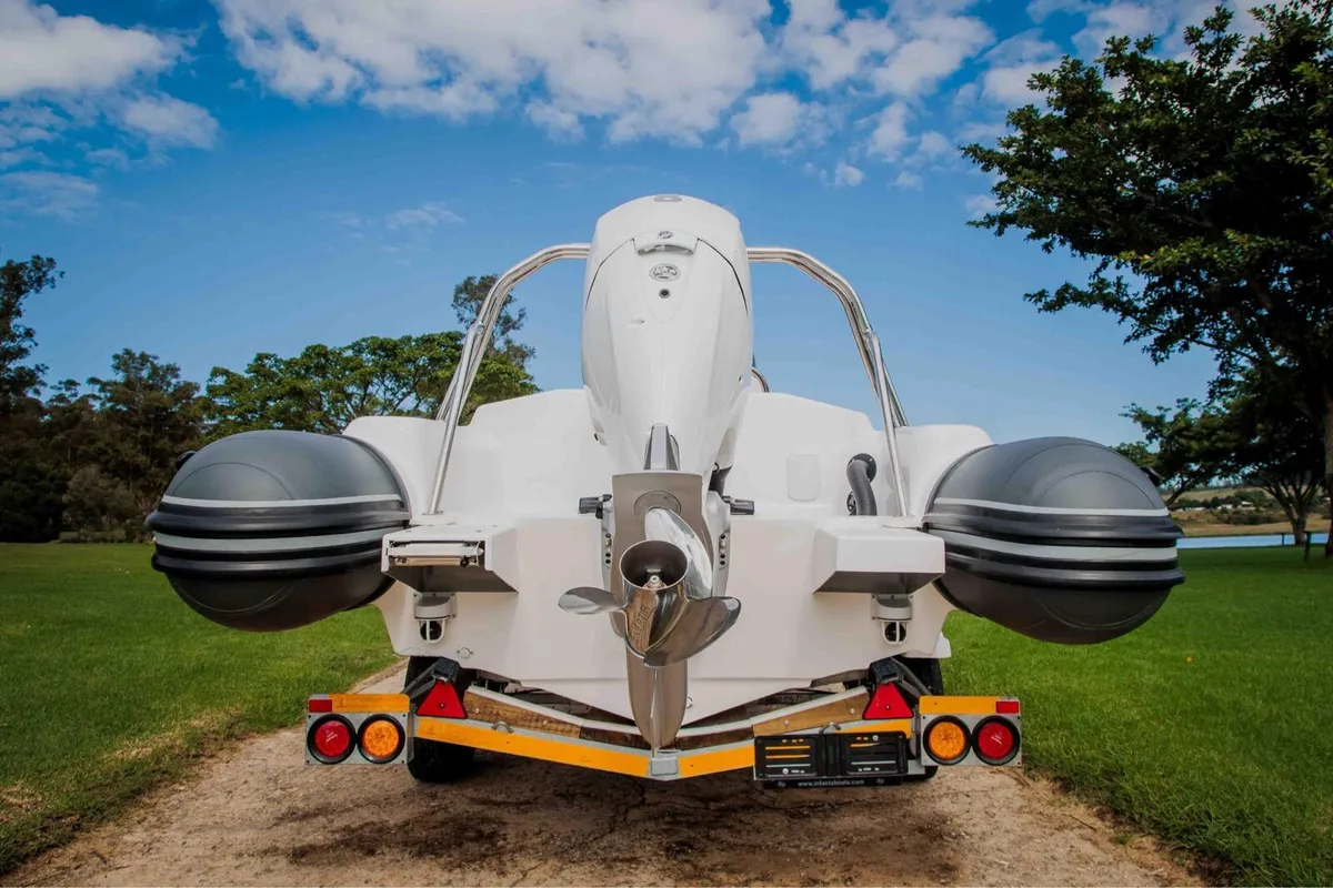 6.7M - Infanta Rib - Image 2