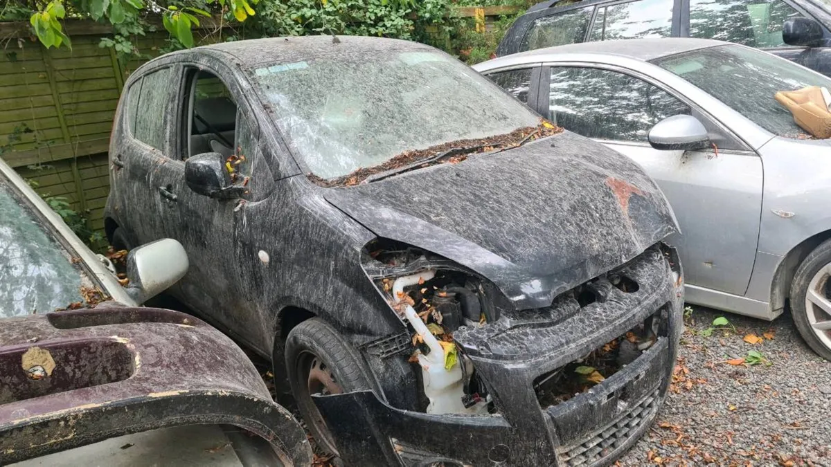 Suzuki splash for breaking