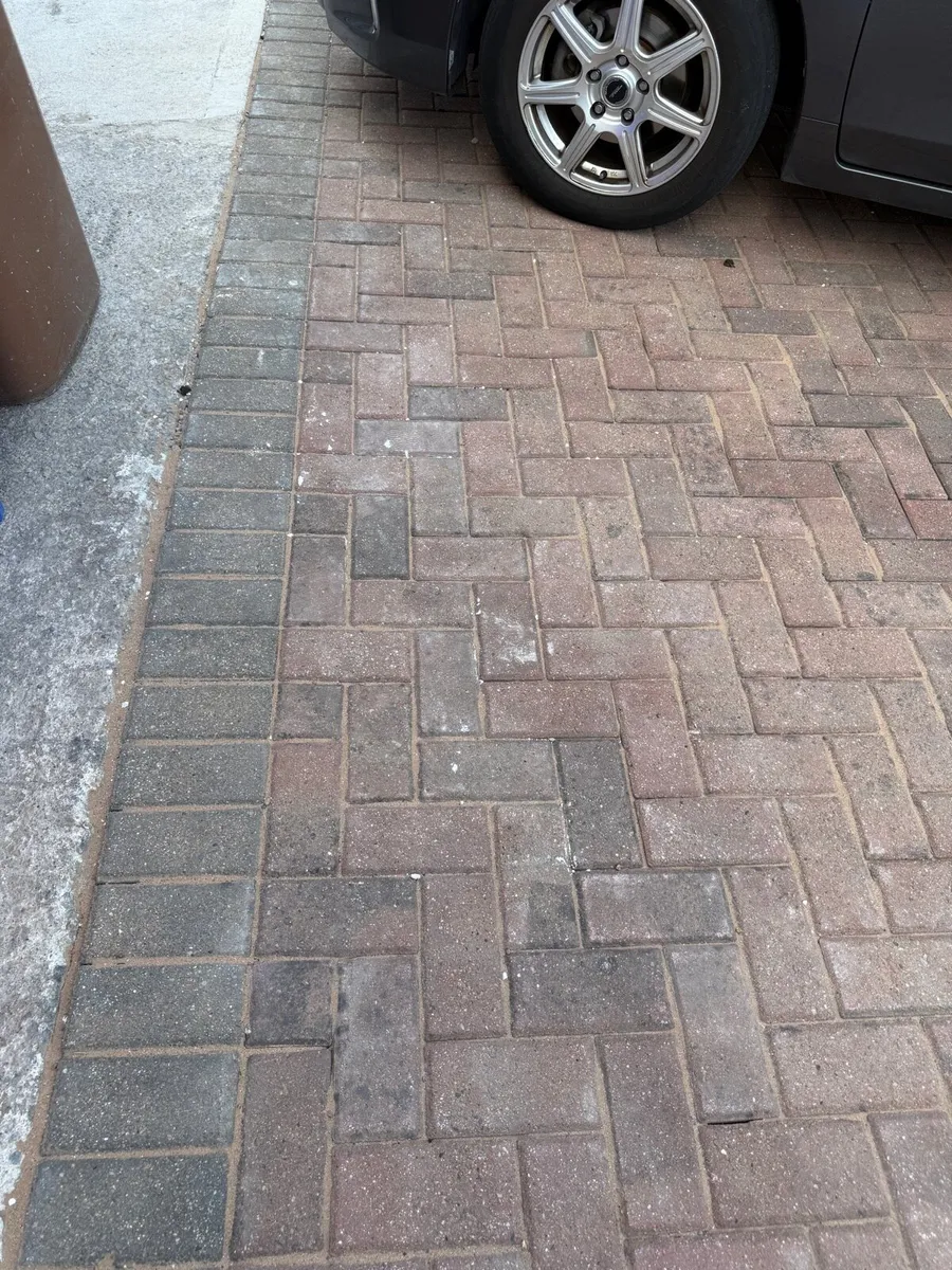 Grey Concrete Paving Bricks - Large Quantity - Image 4