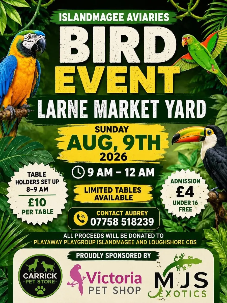 Bird Event - Image 1