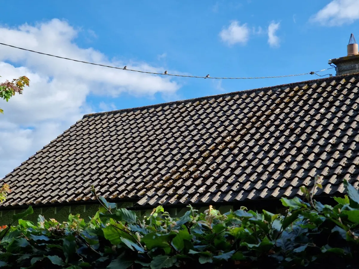 Cottage Roof Tiles - Image 1