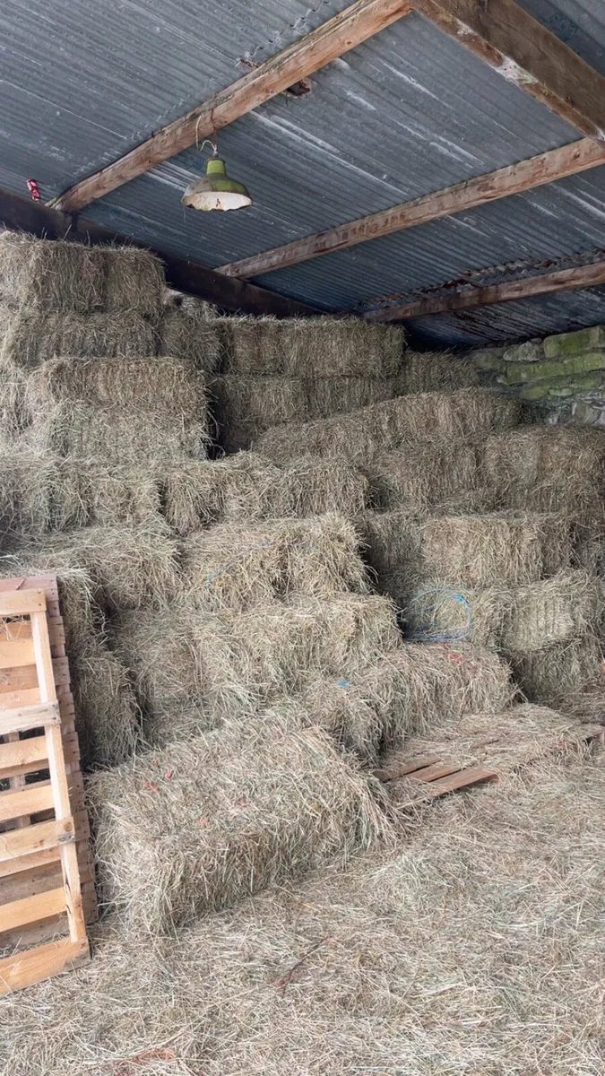 Small square bales - Image 1