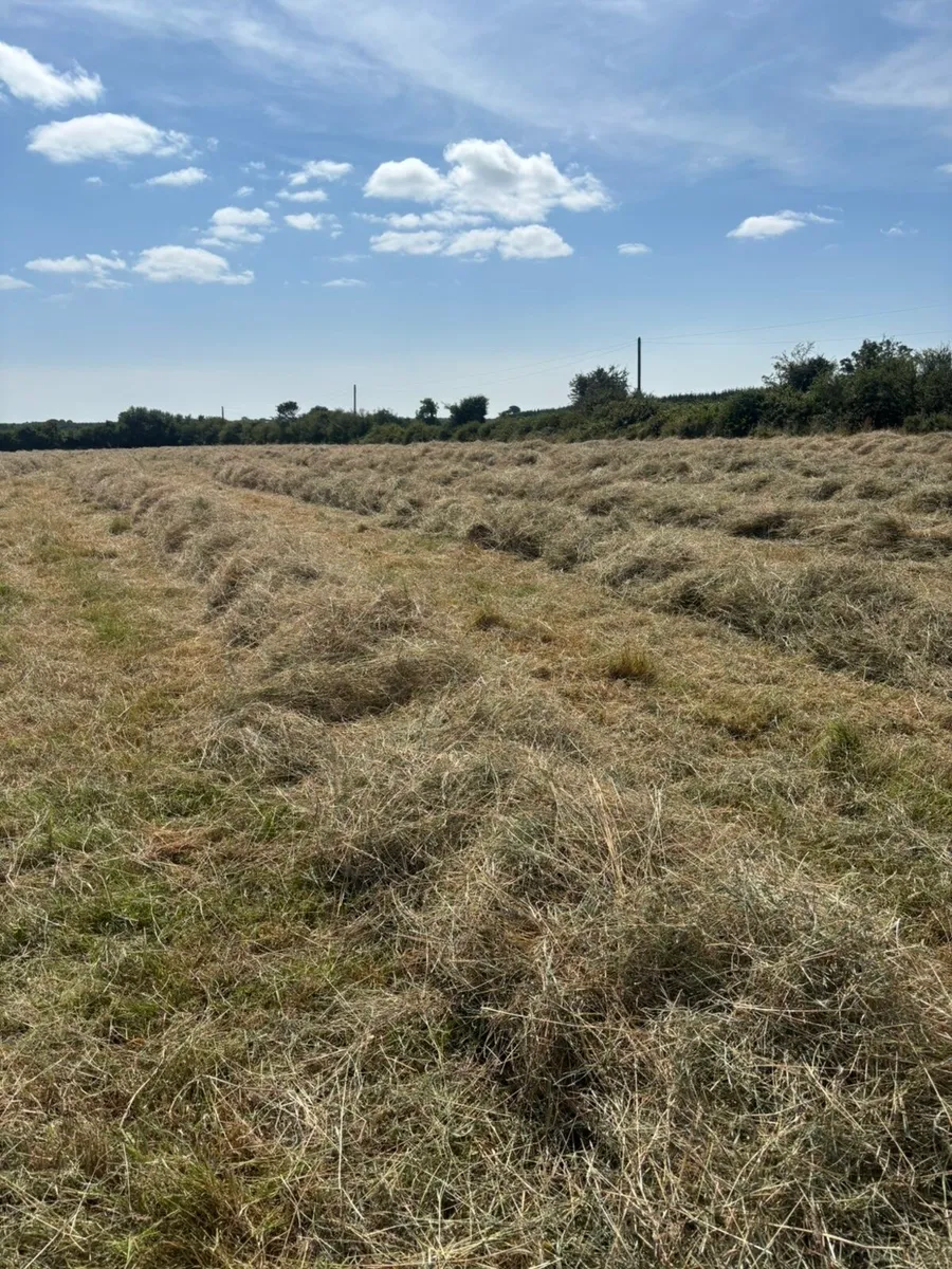Small square bales - Image 4
