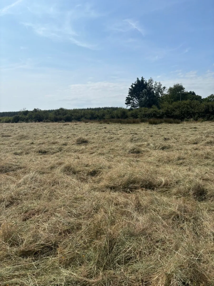 Small square bales - Image 3