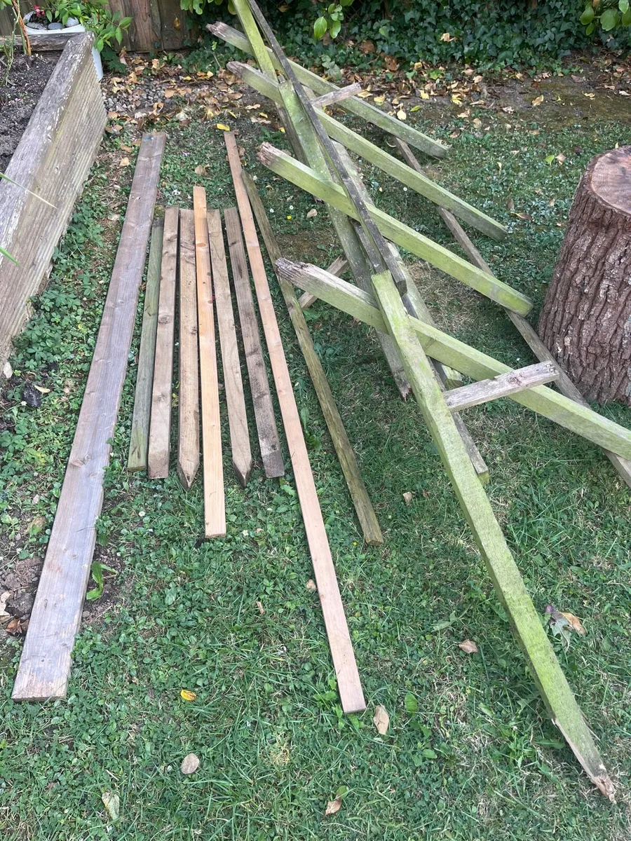Bundle of wood - Image 1