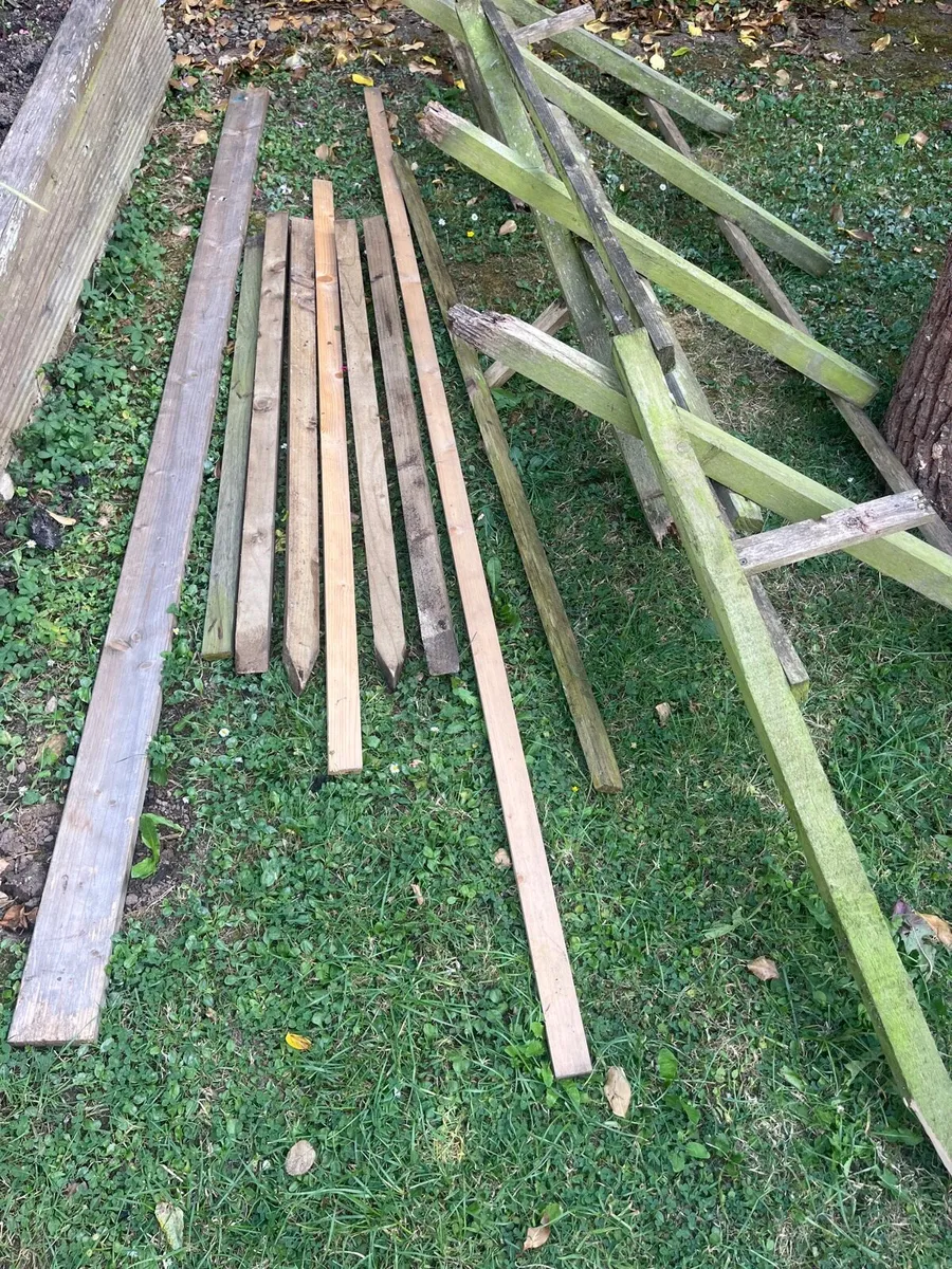 Bundle of wood - Image 2