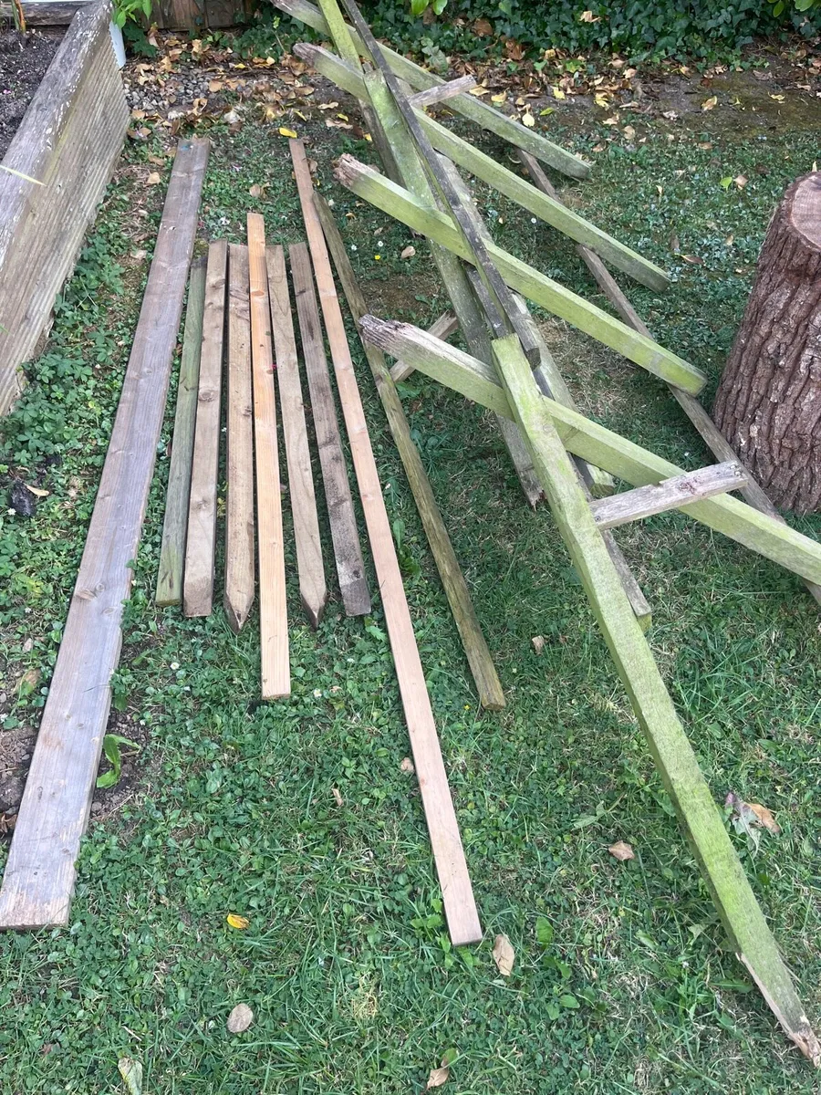 Bundle of wood - Image 1