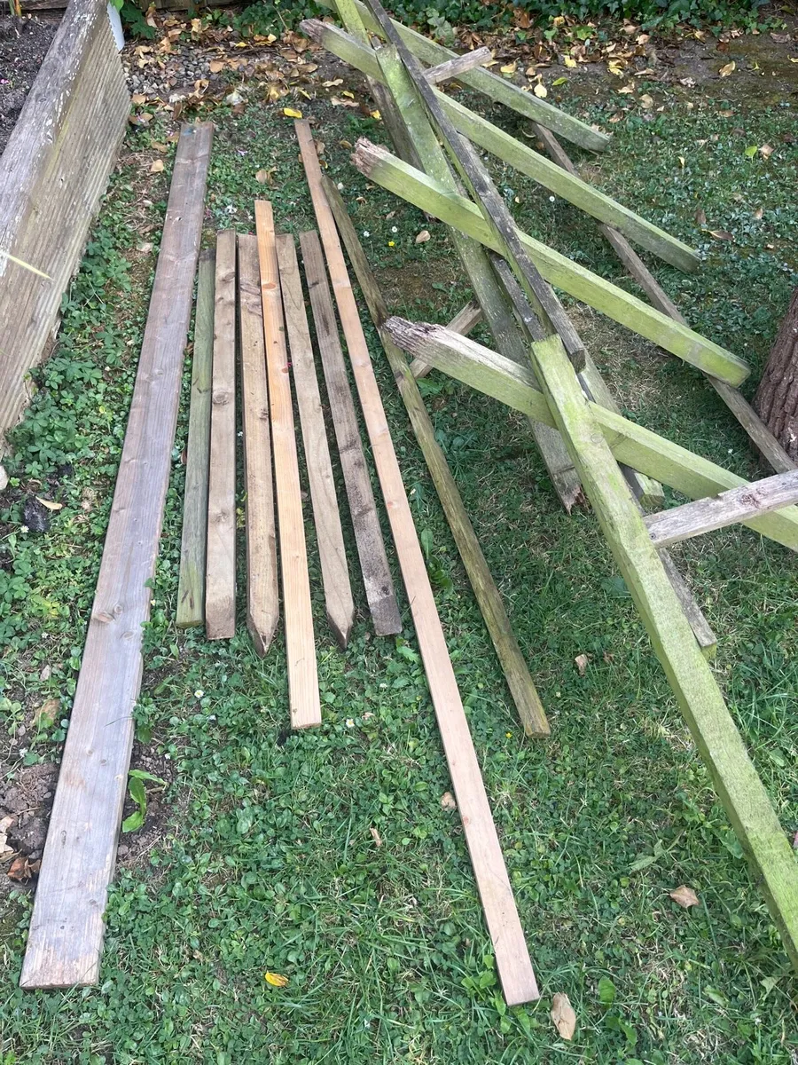 Bundle of wood - Image 2