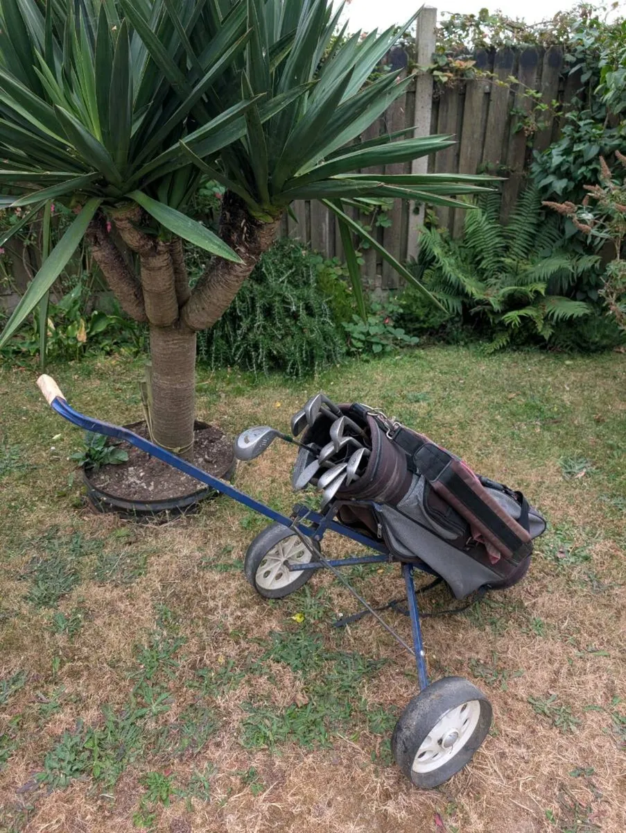 Cheap left handed  Golf clubs and trolley - Image 1