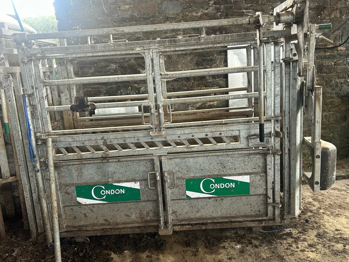 Cattle mobile crush - Image 1