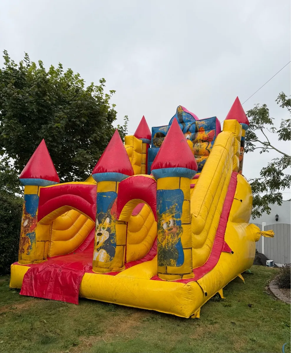 Bouncy Castle - Image 2