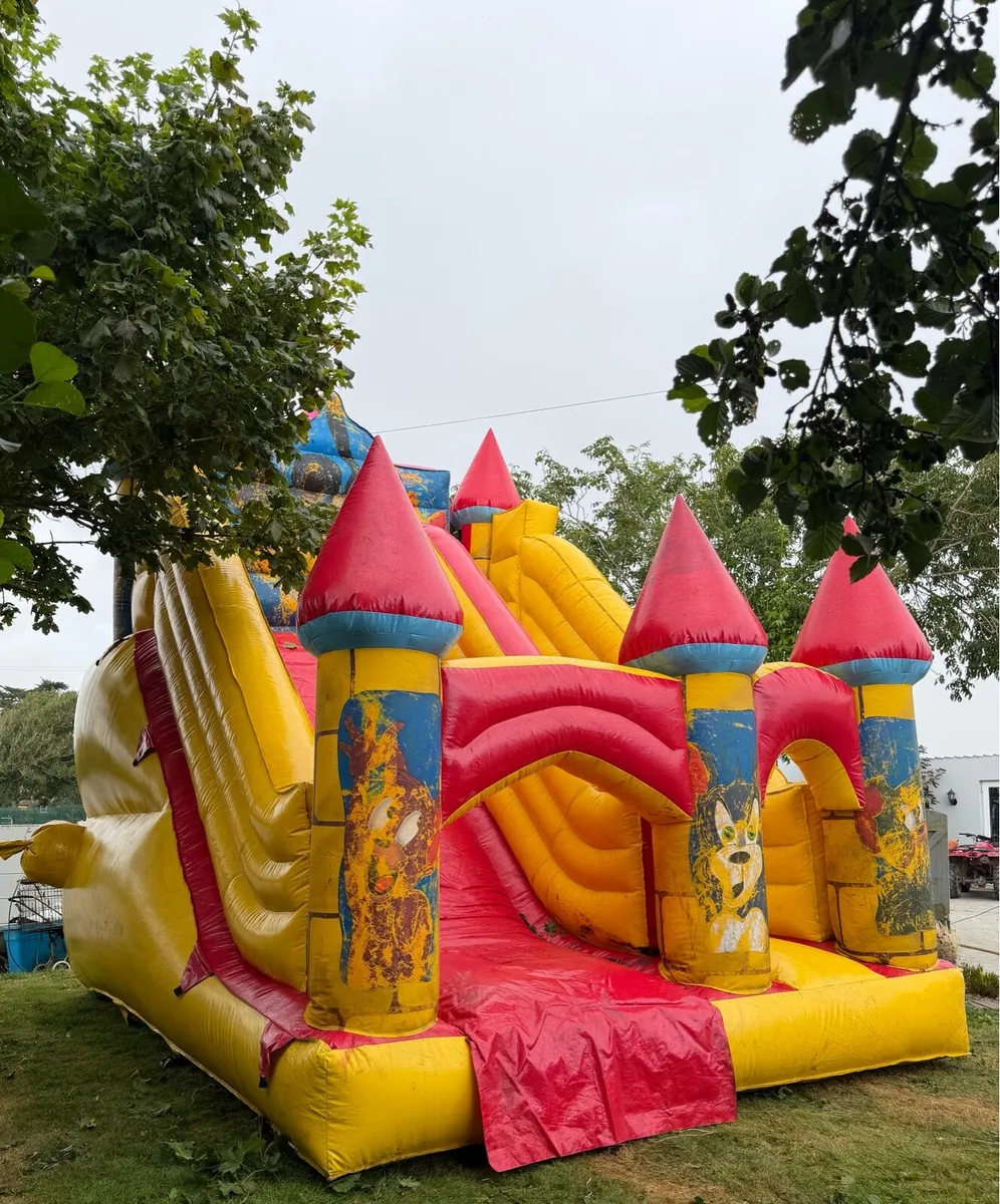 Bouncy Castle - Image 1