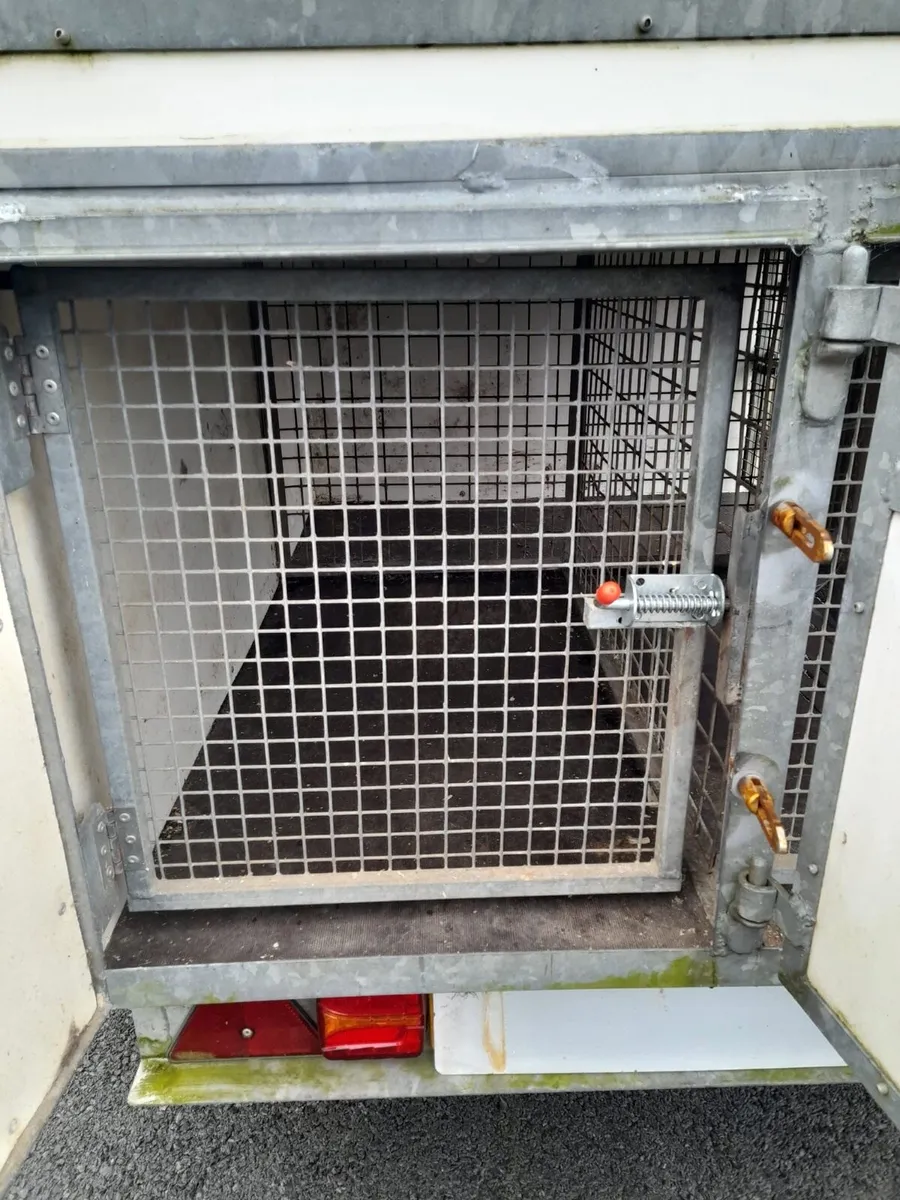 Dog trailer - Image 4