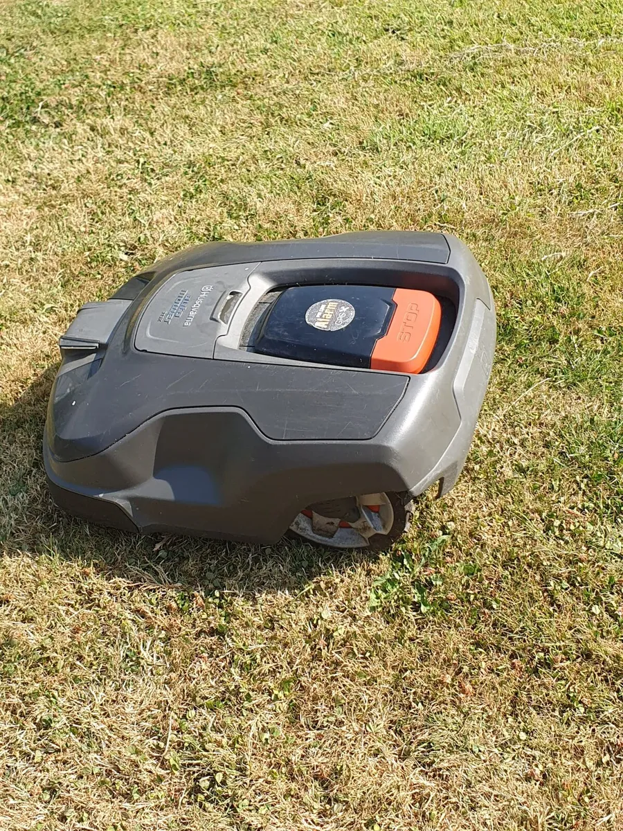 Lawnmore - Image 2
