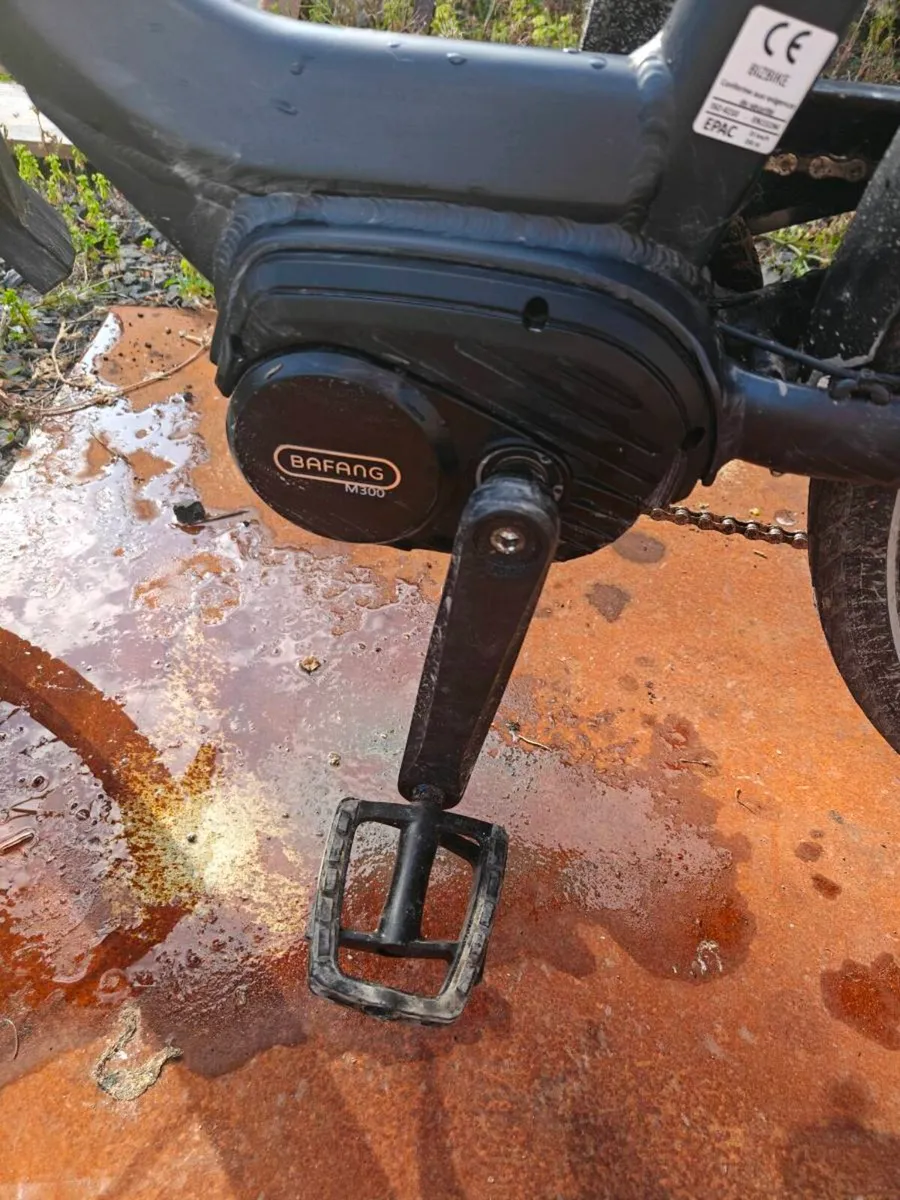 Electric Bike - Image 4