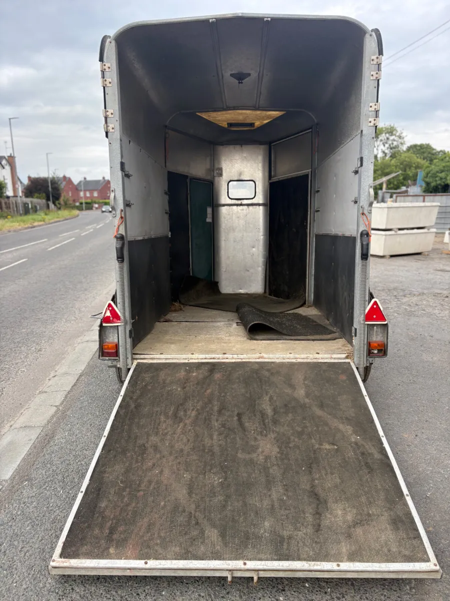 Ifor Williams 505 blue horse box - Image 2