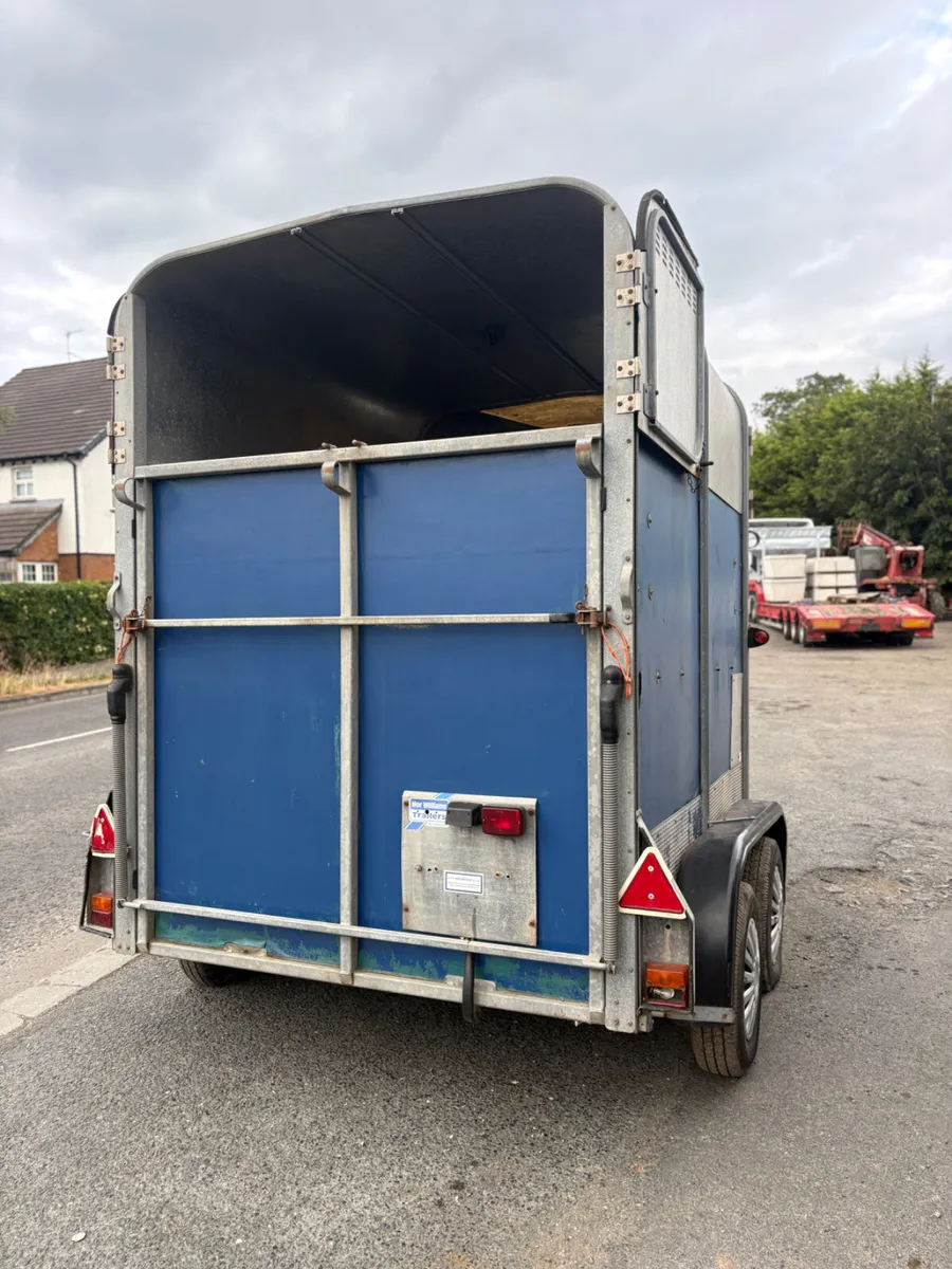 Ifor Williams 505 blue horse box - Image 3