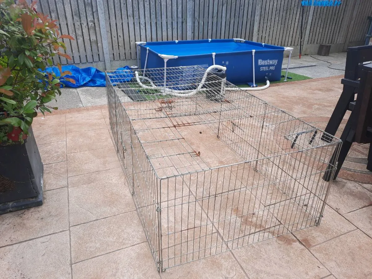 Rabbit cage - Image 3