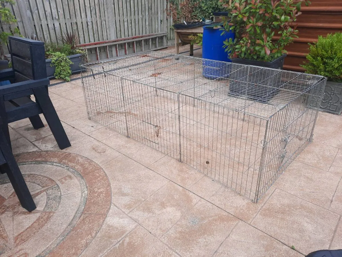 Rabbit cage - Image 2