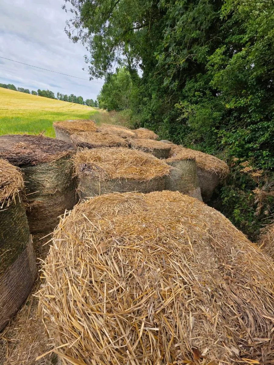 Oaten Straw