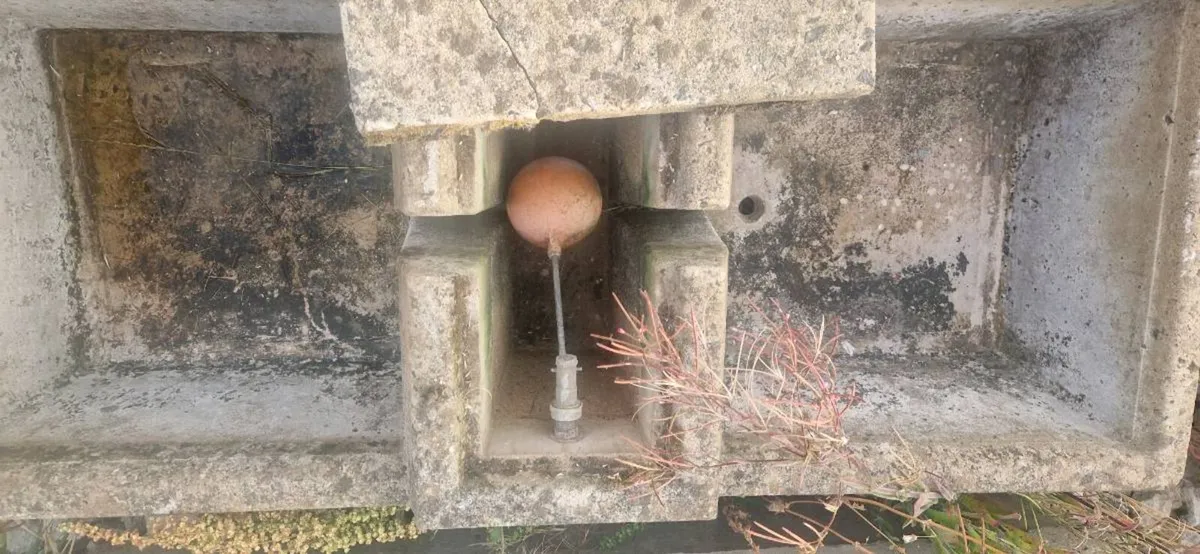 Concrete water trough - Image 2