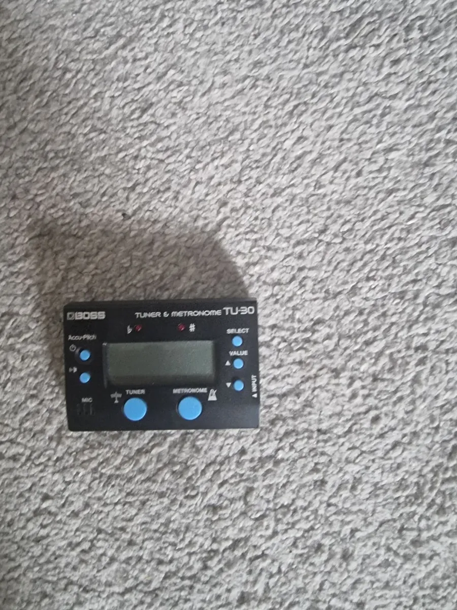 Cort Bass and AMP - Image 4