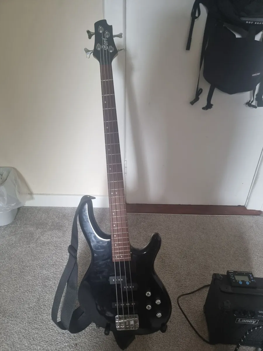 Cort Bass and AMP - Image 3