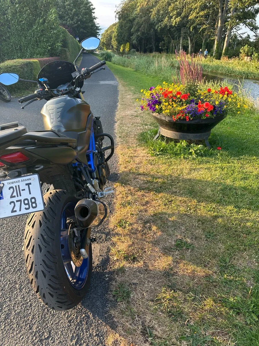 2021 Suzuki SV 650 ABS | Low KM | New Tyres - Image 4