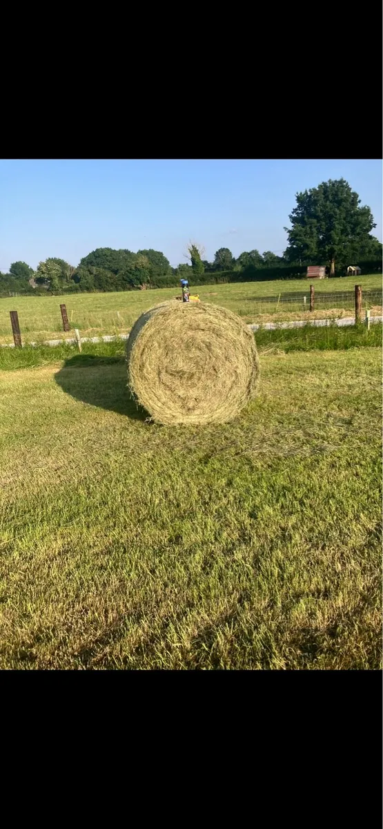 Organic hay, haylage , silage - Image 1