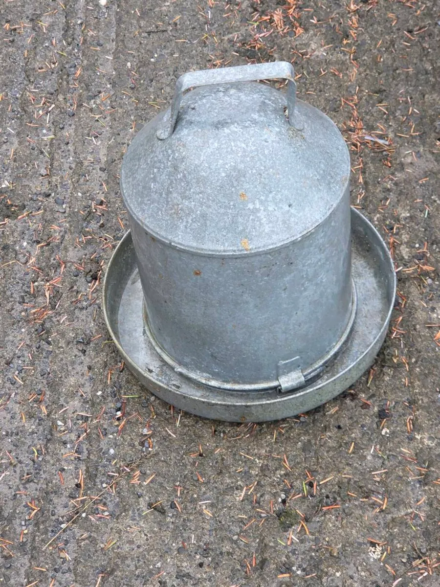 *****Hen feeders***** - Image 1