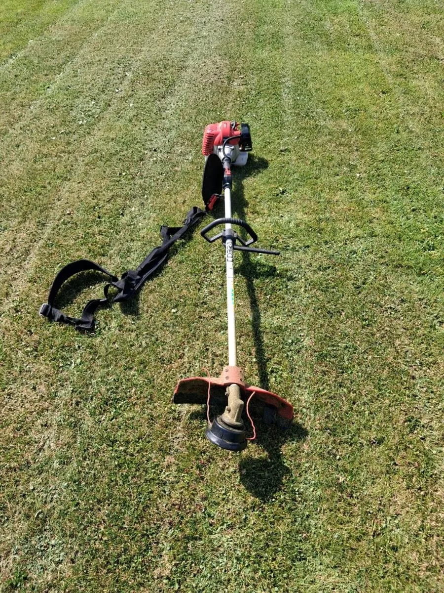 Strimmer - Image 1