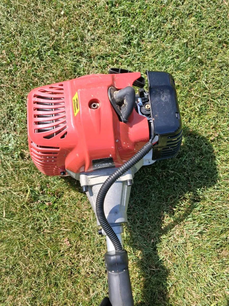 Strimmer - Image 2