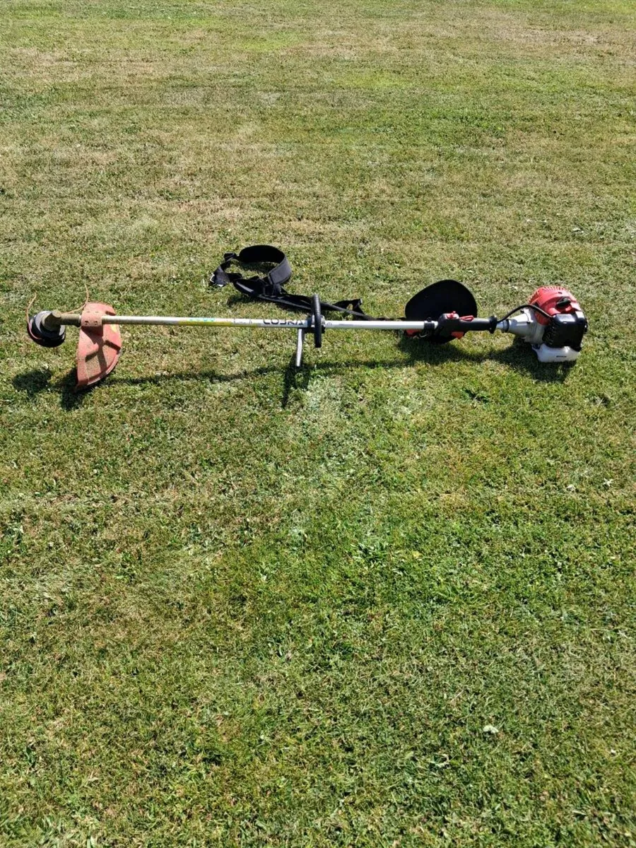 Strimmer - Image 3