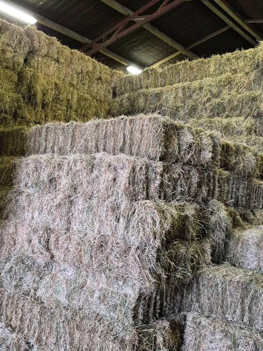 Hay for sale - Image 1
