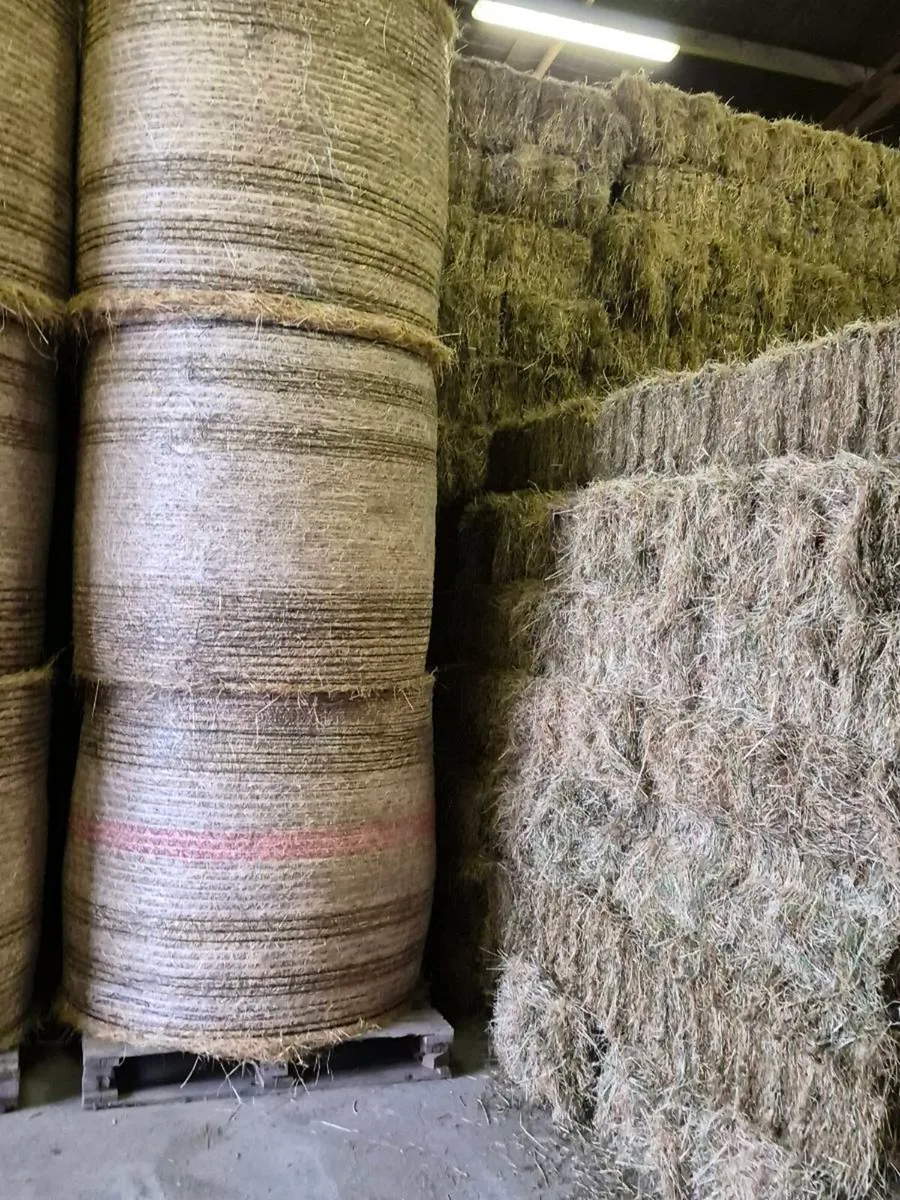 Hay for sale - Image 3
